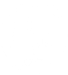 Luterana Moema 85 anos